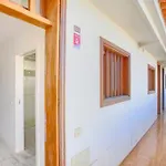 Atico 307-Jacuzzi Privado & Pool Appartement